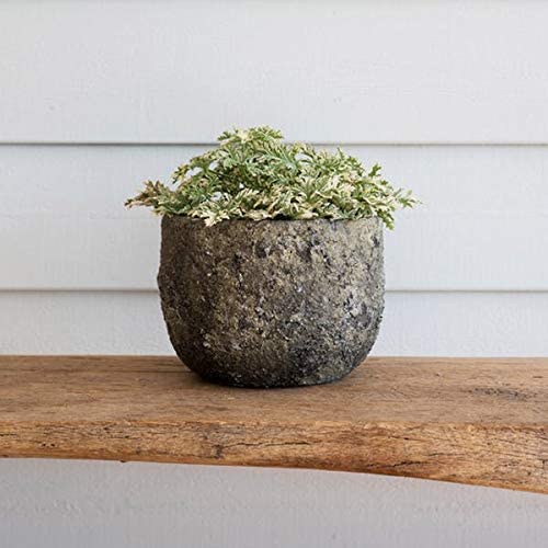 Plant Pots