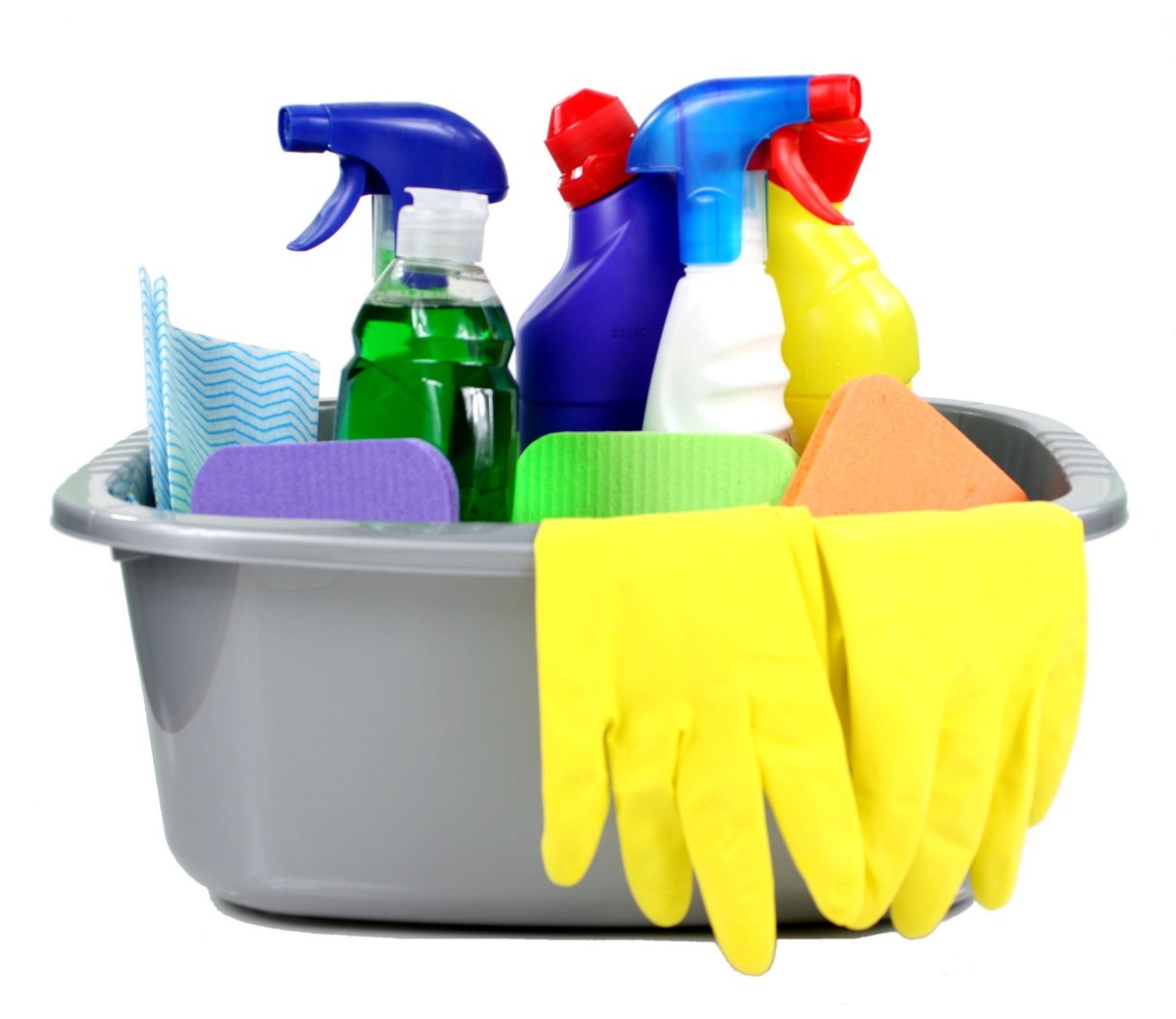 Free House Clean
