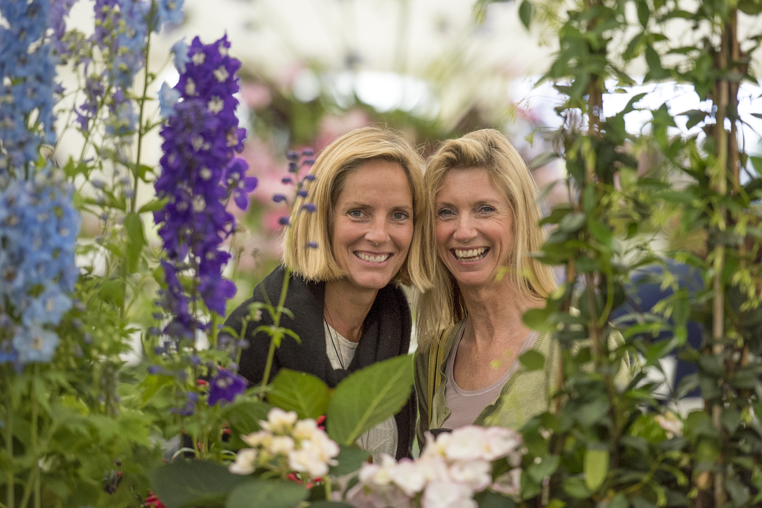 Blenheim Palace Flower Show